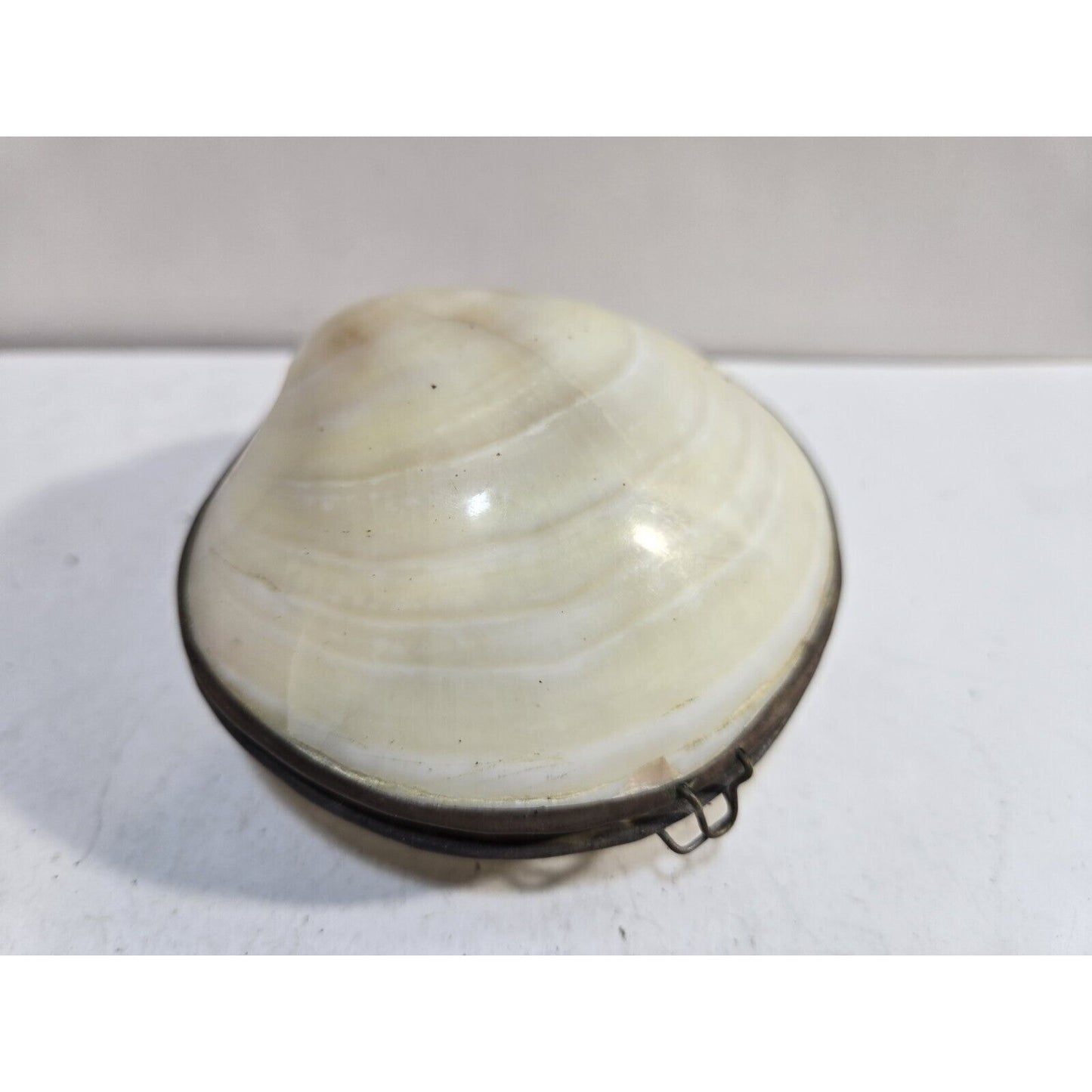 Vintage GENUINE CLAM SEA SHELL Brass Hinged TRINKET Box COIN Purse PILL Box