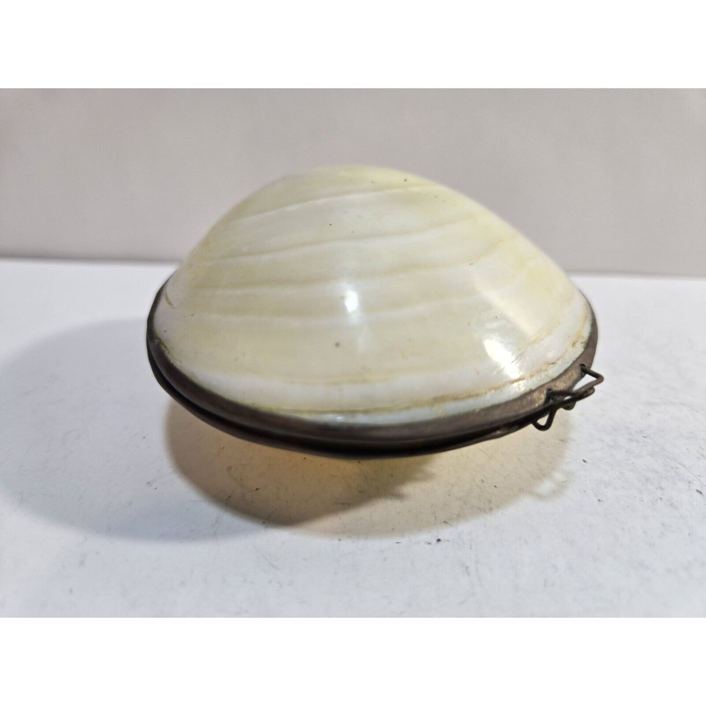 Vintage GENUINE CLAM SEA SHELL Brass Hinged TRINKET Box COIN Purse PILL Box