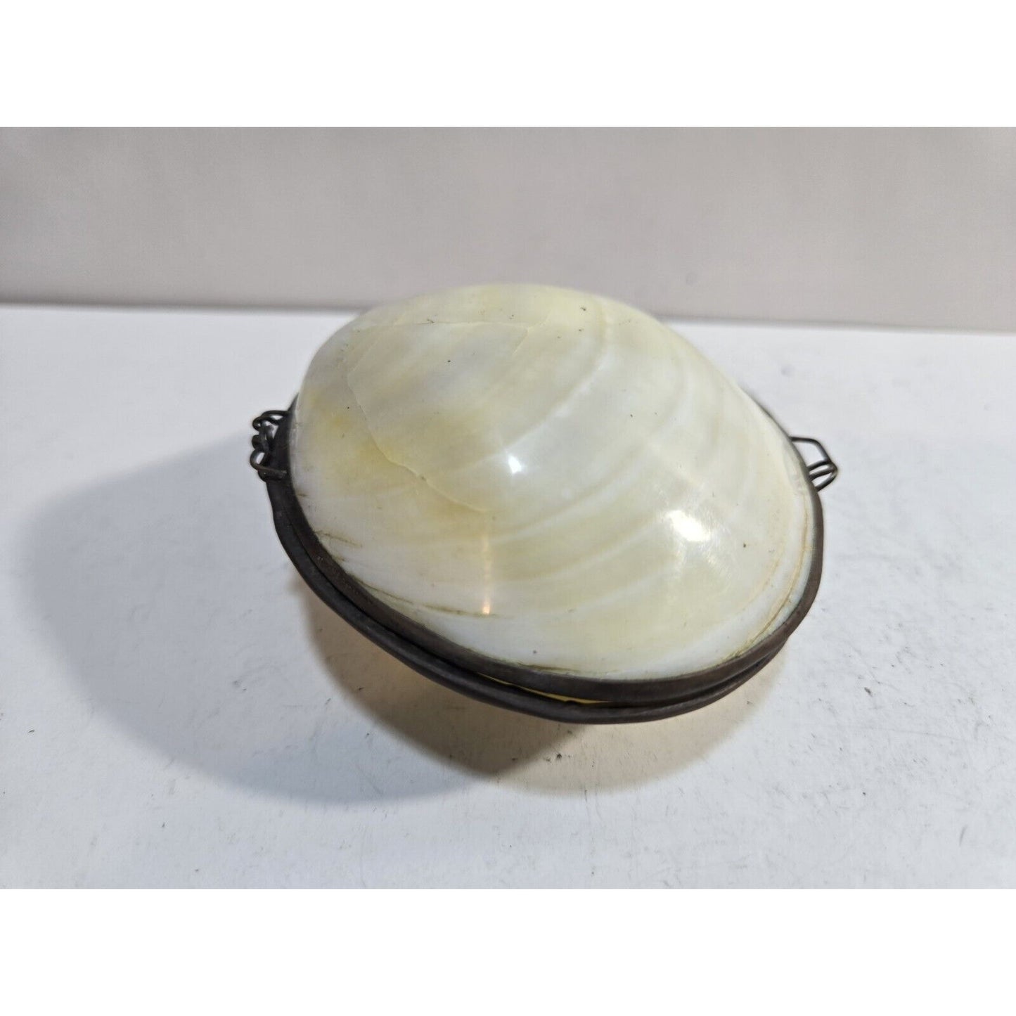 Vintage GENUINE CLAM SEA SHELL Brass Hinged TRINKET Box COIN Purse PILL Box