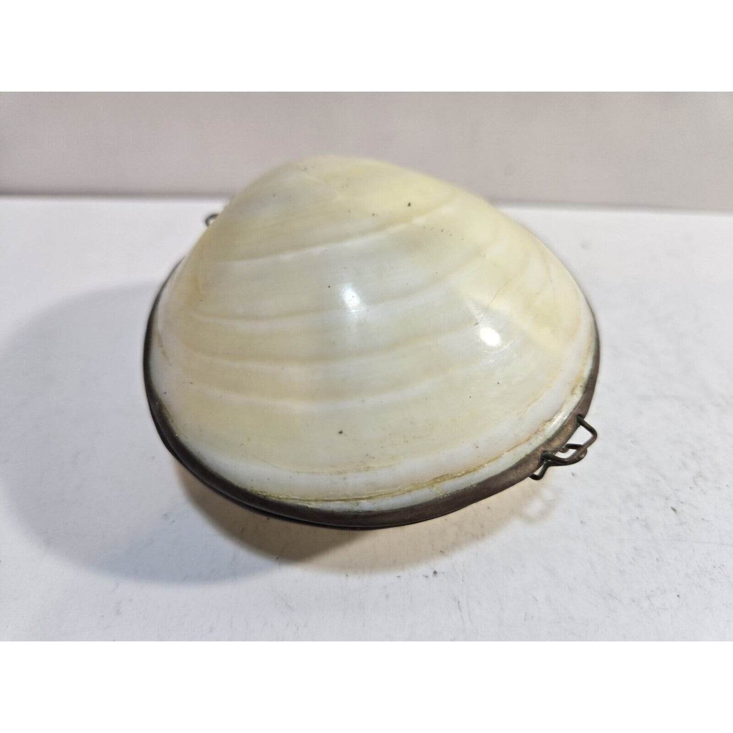 Vintage GENUINE CLAM SEA SHELL Brass Hinged TRINKET Box COIN Purse PILL Box