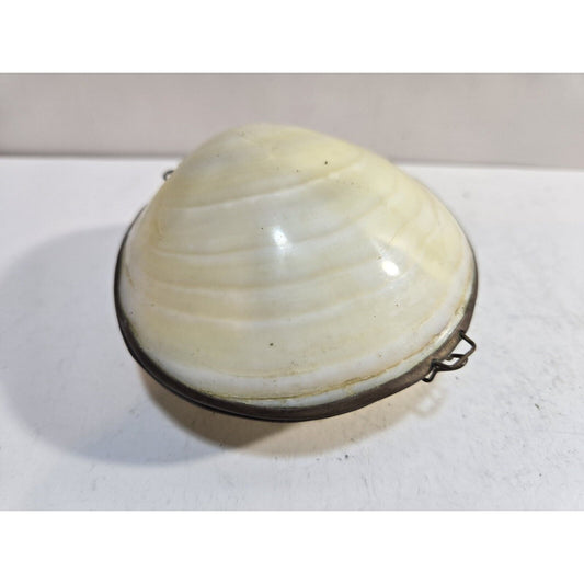 Vintage GENUINE CLAM SEA SHELL Brass Hinged TRINKET Box COIN Purse PILL Box