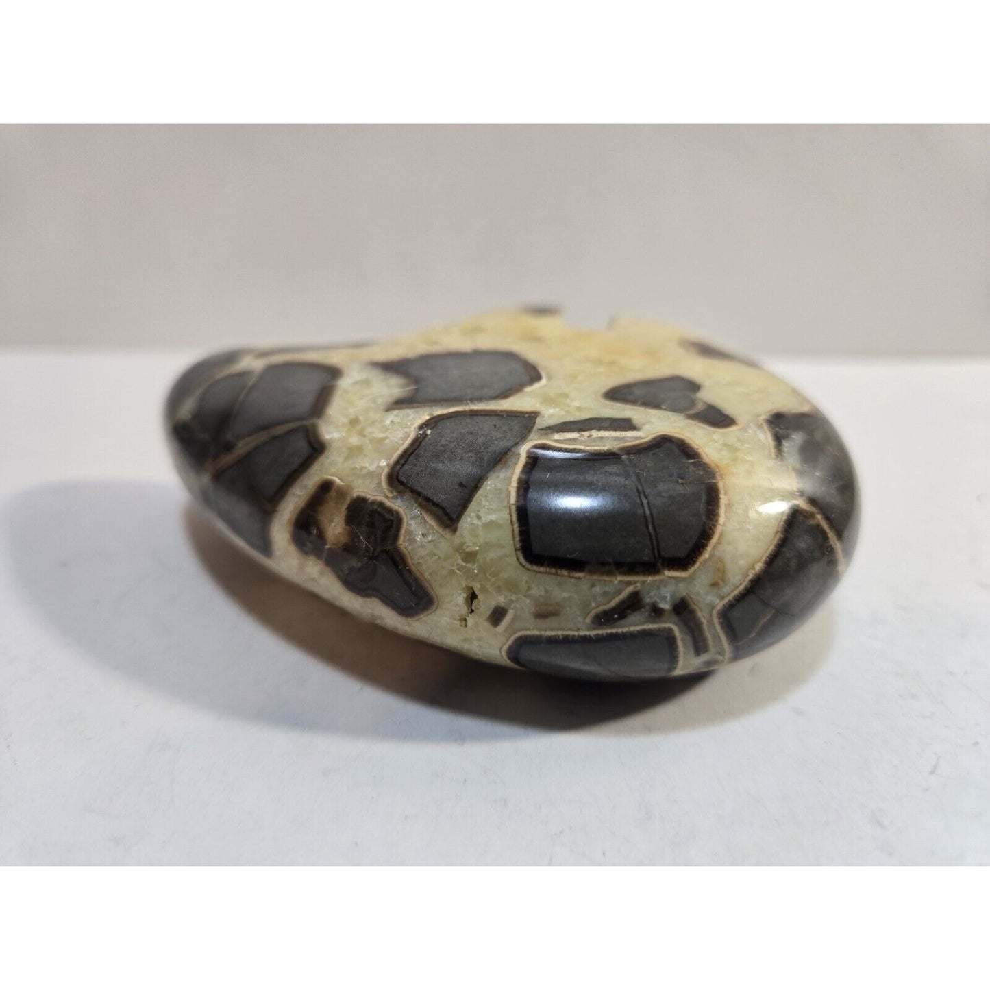 Crystal Septarian Druzy Bear - 4”