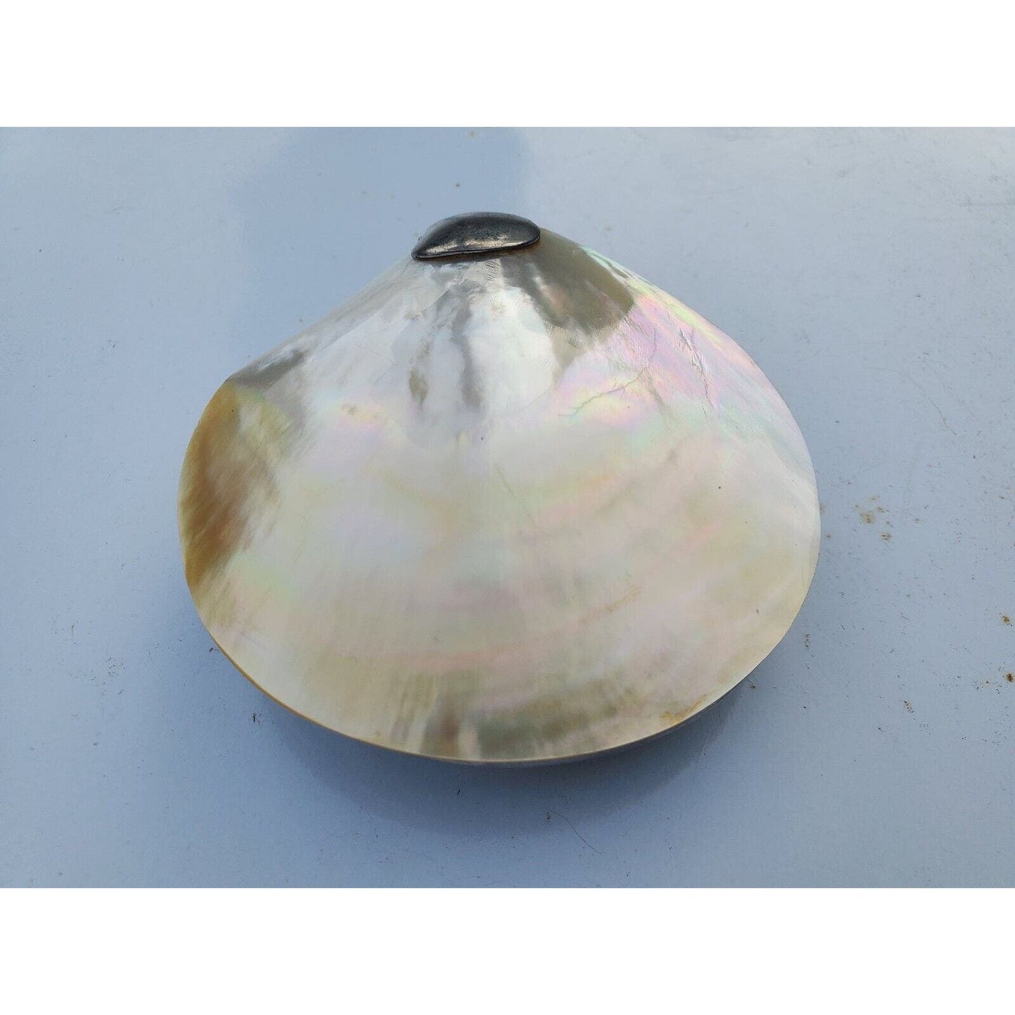 Vintage Mother of Pearl Abalone Seashell Shaped Hinged Trinket Pill Box 3"