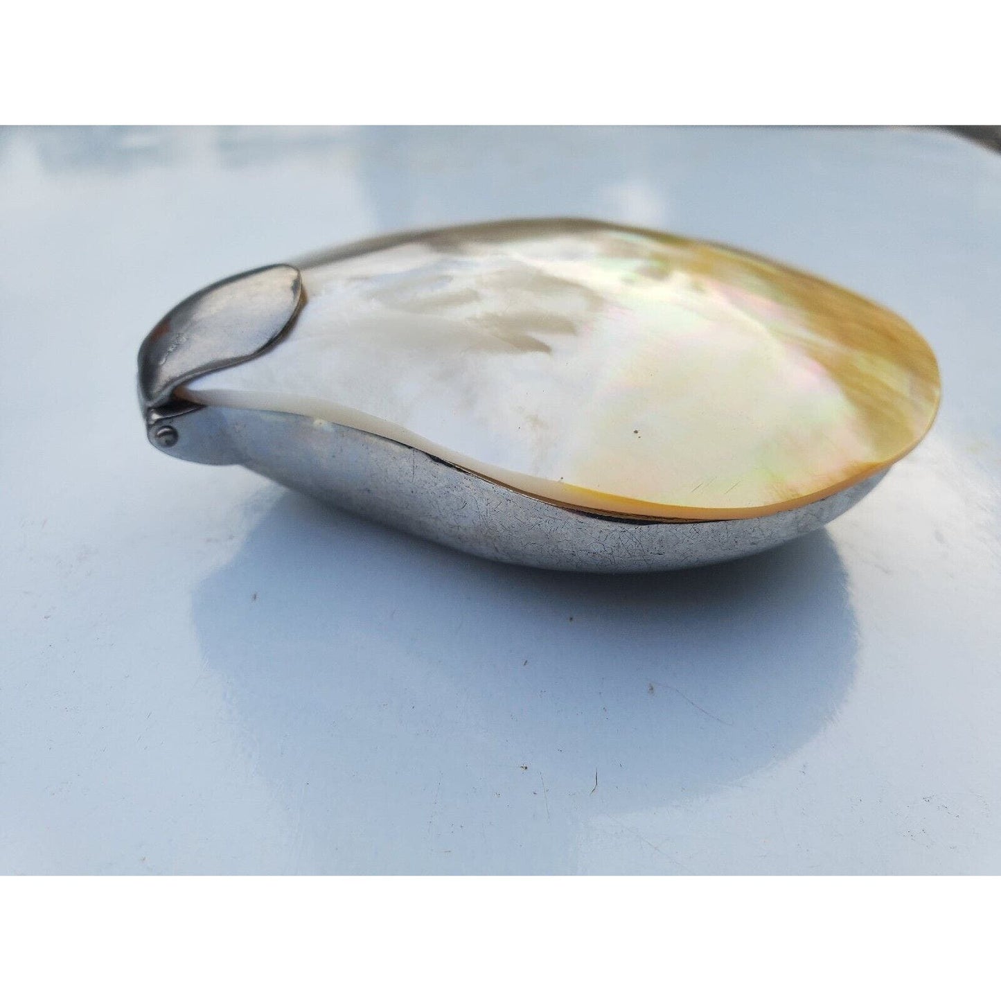 Vintage Mother of Pearl Abalone Seashell Shaped Hinged Trinket Pill Box 3"