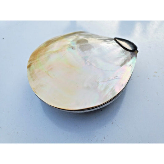 Vintage Mother of Pearl Abalone Seashell Shaped Hinged Trinket Pill Box 3"